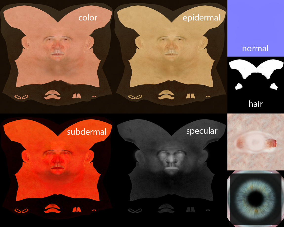 skin textures